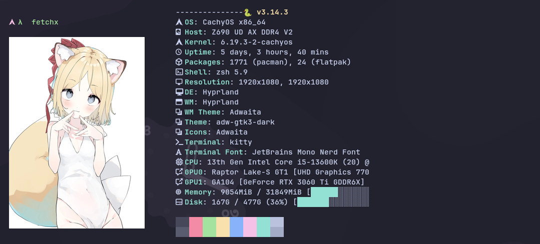 FetchX with kitty image backend showing anime image